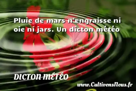 Pluie de mars n engraisse ni oie ni jars. Un dicton météo DICTON MÉTÉO