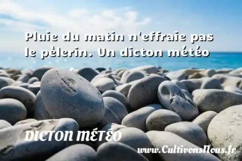 Pluie du matin n effraie pas le pèlerin. Un dicton météo DICTON MÉTÉO