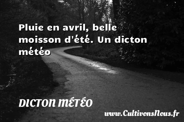 Pluie en avril, belle moisson d’été. - Dicton météo
