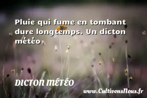 Pluie qui fume en tombant dure longtemps. Un dicton météo DICTON MÉTÉO