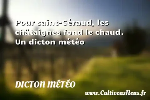 Pour saint-Géraud, les châtaignes fond le chaud. Un dicton météo DICTON MÉTÉO