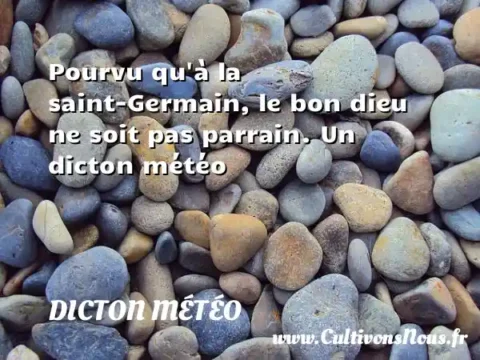 Pourvu qu à la saint-Germain, le bon dieu ne soit pas parrain. Un dicton météo DICTON MÉTÉO