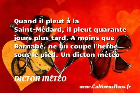 Quand il pleut à la Saint-Médard, il pleut quarante jours plus tard. A moins que Barnabé, ne lui coupe l herbe sous le pied. Un dicton météo DICTON MÉTÉO