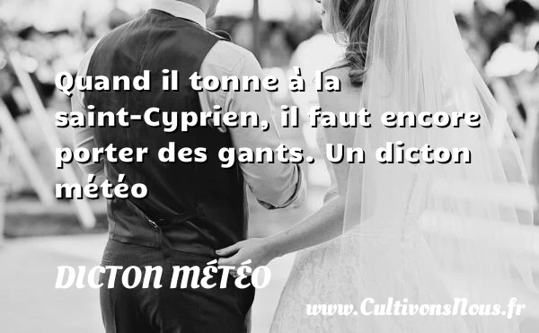 Quand il tonne à la saint-Cyprien, il faut encore porter des - Dicton météo
