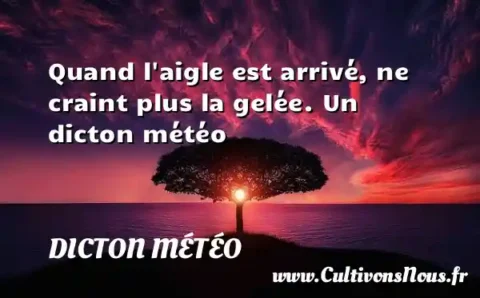 Quand l aigle est arrivé, ne craint plus la gelée. Un dicton météo DICTON MÉTÉO