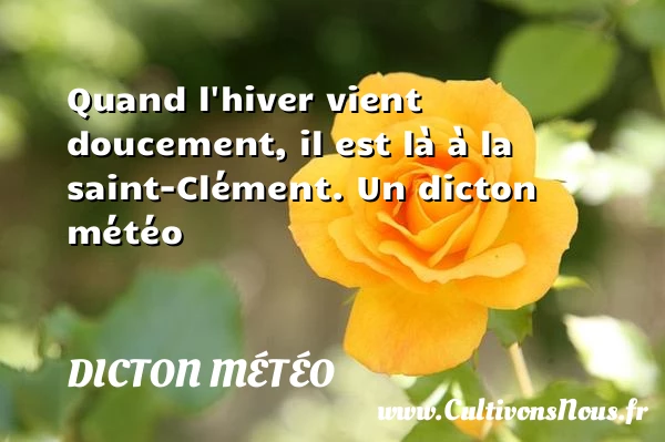 Quand l’hiver vient doucement, il est là à la - Dicton météo