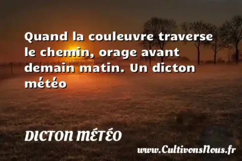 Quand la couleuvre traverse le chemin, orage avant demain matin. Un dicton météo DICTON MÉTÉO