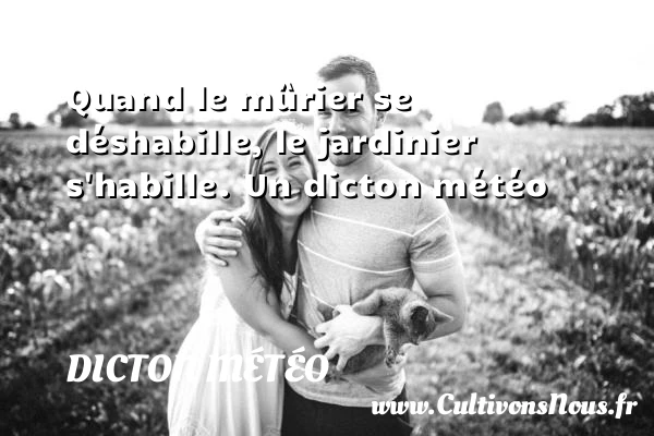 Quand le mûrier se déshabille, le jardinier s’habille. - Dicton météo