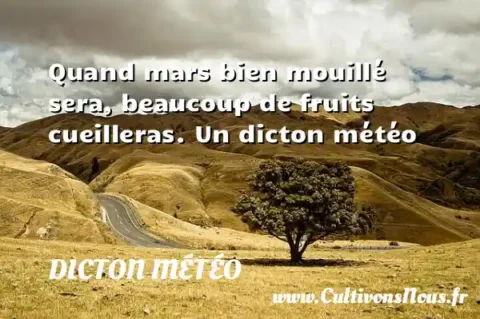 Quand mars bien mouillé sera, beaucoup de fruits cueilleras. Un dicton météo DICTON MÉTÉO