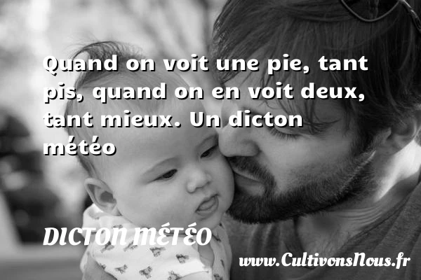 Quand on voit une pie, tant pis, quand on en voit deux, tant - Dicton météo