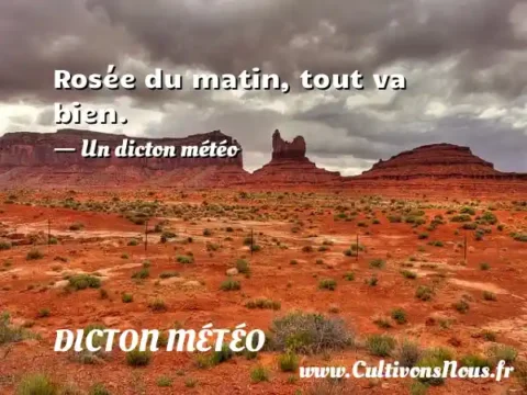 Rosée du matin, tout va bien. - Un dicton météo DICTON MÉTÉO