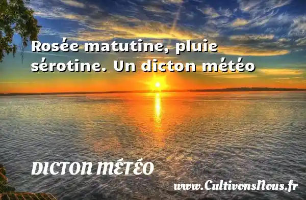 Rosée matutine, pluie sérotine. Un dicton météo DICTON MÉTÉO
