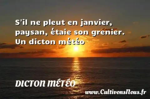 S il ne pleut en janvier, paysan, étaie son grenier. Un dicton météo DICTON MÉTÉO