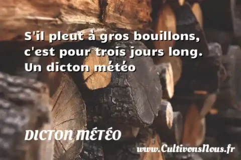 S il pleut à gros bouillons, c est pour trois jours long. Un dicton météo DICTON MÉTÉO