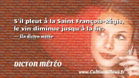 S il pleut à la Saint François-Régis, le vin diminue jusqu à la lie. - Un dicton météo DICTON MÉTÉO