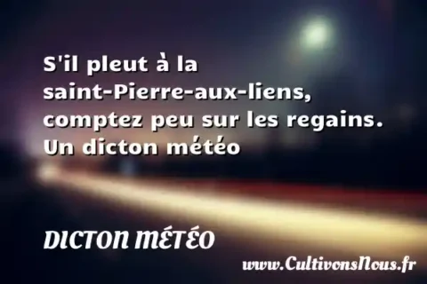 S il pleut à la saint-Pierre-aux-liens, comptez peu sur les regains. Un dicton météo DICTON MÉTÉO
