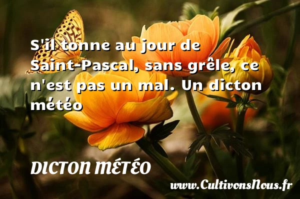 S’il tonne au jour de Saint-Pascal, sans grêle, - Dicton météo