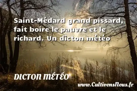 Saint-Médard grand pissard, fait boire le pauvre et le richard. Un dicton météo DICTON MÉTÉO