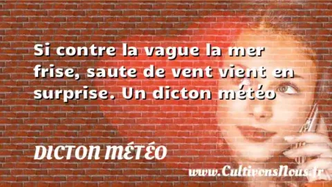 Si contre la vague la mer frise, saute de vent vient en surprise. Un dicton météo DICTON MÉTÉO