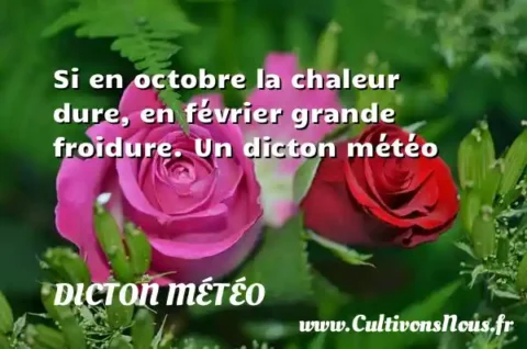 Si en octobre la chaleur dure, en février grande froidure. Un dicton météo DICTON MÉTÉO