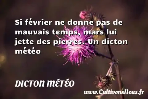 Si février ne donne pas de mauvais temps, mars lui jette des pierres. Un dicton météo DICTON MÉTÉO