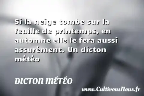 Si la neige tombe sur la feuille de printemps, en automne elle le fera aussi assurément. Un dicton météo DICTON MÉTÉO