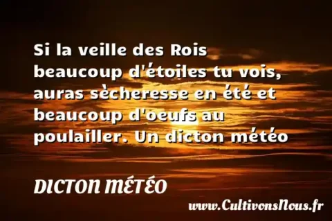 Si la veille des Rois beaucoup d étoiles tu vois, auras sècheresse en été et beaucoup d oeufs au poulailler. Un dicton météo DICTON MÉTÉO