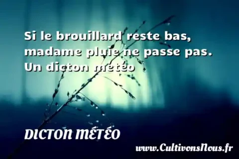 Si le brouillard reste bas, madame pluie ne passe pas. Un dicton météo DICTON MÉTÉO