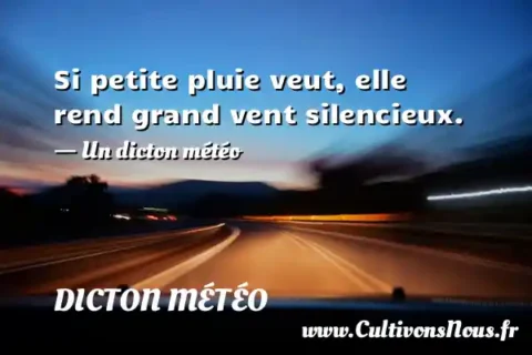 Si petite pluie veut, elle rend grand vent silencieux. - Un dicton météo DICTON MÉTÉO