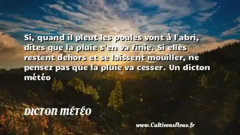 Si, quand il pleut les poules vont à l abri, dites que la pluie s en va finie. Si elles restent dehors et se laissent mouiller, ne pensez pas que la pluie va cesser. Un dicton météo DICTON MÉTÉO