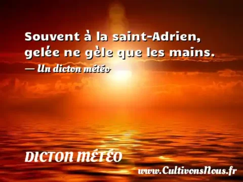 Souvent à la saint-Adrien, gelée ne gèle que les mains. - Un dicton météo DICTON MÉTÉO