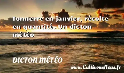 Tonnerre en janvier, récolte en quantité. Un dicton météo DICTON MÉTÉO