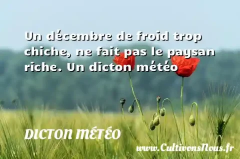 Un décembre de froid trop chiche, ne fait pas le paysan riche. Un dicton météo DICTON MÉTÉO