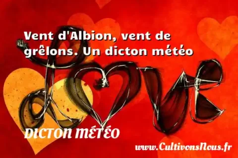 Vent d Albion, vent de grêlons. Un dicton météo DICTON MÉTÉO