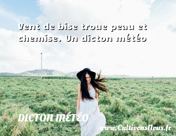Vent de bise troue peau et chemise. - Dicton météo