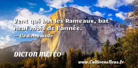 Vent qui bat les Rameaux, bat neuf mois de l année. - Un dicton météo DICTON MÉTÉO