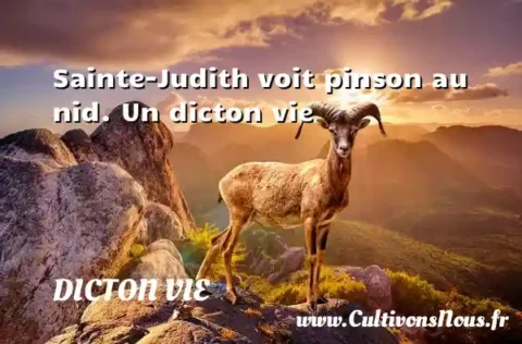 Sainte-Judith voit pinson au nid. Un dicton vie DICTON VIE