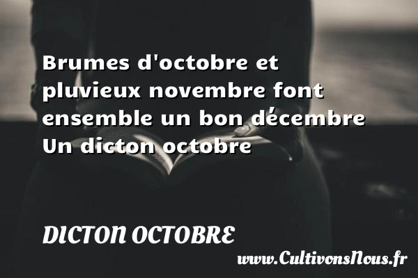 Brumes d’octobre et pluvieux novembre font ensemble un bon - Dicton octobre