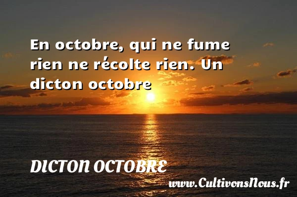 En octobre, qui ne fume rien ne récolte - Dicton octobre