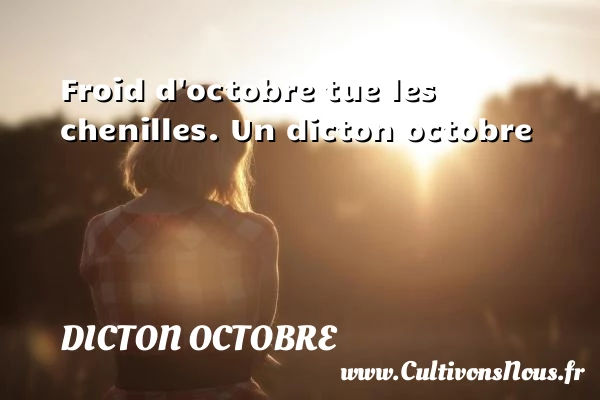Froid d’octobre tue les chenilles. - Dicton octobre