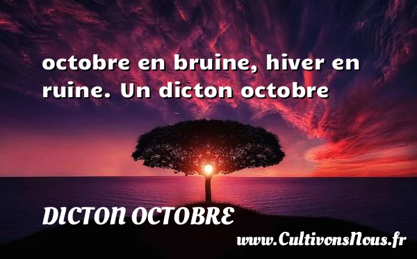 octobre en bruine, hiver en ruine. - Dicton octobre