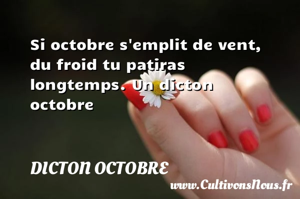 Si octobre s’emplit de vent, du froid tu patiras - Dicton octobre