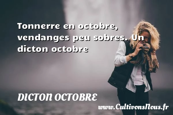 Tonnerre en octobre, vendanges peu sobres. - Dicton octobre
