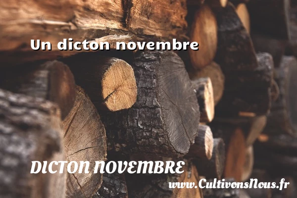  - Dicton novembre