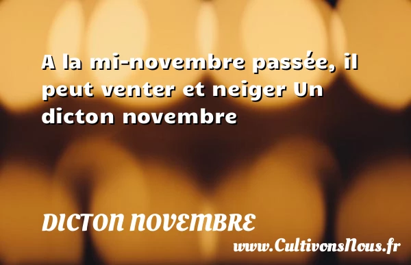 A la mi-novembre passée, il peut venter et - Dicton novembre