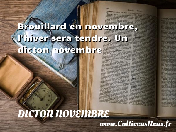 Brouillard en novembre, l’hiver sera tendre. - Dicton novembre