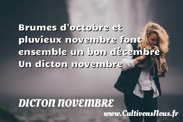 Brumes d’octobre et pluvieux novembre font ensemble un - Dicton novembre