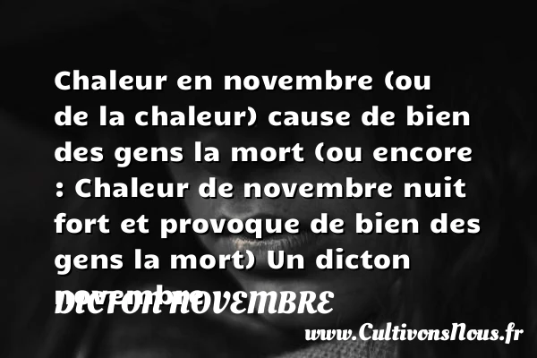 Chaleur en novembre (ou de la chaleur) cause - Dicton novembre