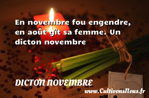 En novembre fou engendre, en août gît sa - Dicton novembre