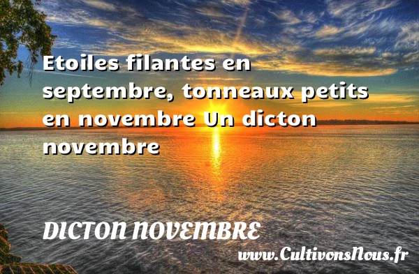 Etoiles filantes en septembre, tonneaux petits en novembre - Dicton novembre